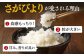 さがびより 10kg（5kg×2袋）ごはん 米 お米