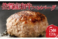 【佐賀産和牛】ハンバーグ 120g×5個  B-1008