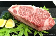 500g【佐賀牛】ロースブロック（タタキ・ローストビーフ・焼肉等） D-609