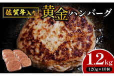 【佐賀牛入り】【数量限定】熟練の味 “黄金ハンバーグ” 120g×10個 1200g　A-76