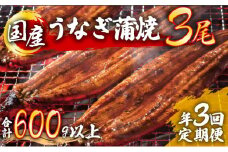 うなぎ蒲焼 3尾セット 合計600g以上 (定期便3回) H-301