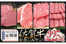 佐賀牛セット 年4回定期便コース(3人前) H-308
