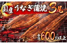 うなぎ蒲焼 3尾セット（合計600g以上） F-124