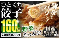 【野菜たっぷりヘルシー♪】一口ぎょうざ160個セット  B-636