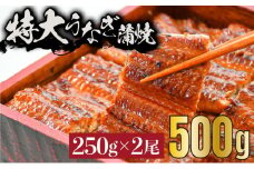 《特大》うなぎ 蒲焼焼き 2尾　500g（250gX2尾）　中国産　B-1035