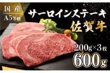 【佐賀牛】200g×3枚 サーロインステーキ D-657