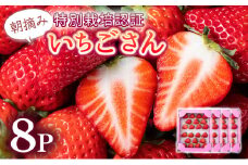 【先行予約】数量限定！佐賀県人気No.1苺”いちごさん” たっぷり約1.9㎏（235g×8p）