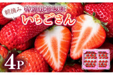 【先行予約】数量限定！佐賀県人気No.1苺”いちごさん” 約1kg（235g×4p）