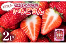【先行予約】数量限定！佐賀県人気No.1苺”いちごさん” お試し470g（235g×2p）