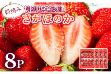 【先行予約】数量限定！あまい果汁溢れる！最高級品質”さがほのか” たっぷり1.9kg（235g×8p）