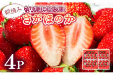 【先行予約】数量限定！あまい果汁溢れる！最高級品質”さがほのか” 約1kg（235g×4p）