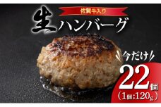 《数量限定》総量2.6㎏！佐賀牛ハンバーグ120g×22個 ふっくらジューシー！