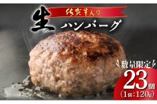 《数量限定》総量2.7㎏！佐賀牛ハンバーグ120g×23個 ふっくらジューシー！※一部配送不可地域あり