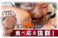 《数量限定》選べる個数 23個 8個 佐賀牛ハンバーグ120g ふっくらジューシー！