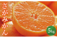 【順次発送】【期間限定】蔵入りみかん5ｋｇ【11000円】
