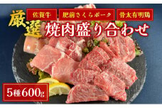 佐賀ざんまい！厳選5種焼肉盛り合わせ600g（2～3人前） 盛り合わせ 焼肉 牛肉 豚肉 鶏肉 佐賀牛 肩ロース カルビ 肥前さくらポーク 豚バラ 豚ロース 有明骨太鶏 モモ B-1089