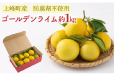 上峰町産 完熟 ゴールデンライム 約1㎏ 無農薬 無化学肥料 ノーワックス 防カビ剤不使用 安全 安心 佐賀県 上峰町 RUSHFARM