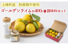 上峰町産 完熟 ゴールデンライム 約400 + ライム胡椒・ペッパーソルトセット 万能調味料 無農薬 無化学肥料 ノーワックス 防カビ剤不使用 安全 安心 佐賀県 上峰町 RUSHFARM