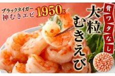 【数量限定】神むきエビ（大粒ブラックタイガー1.95kg）