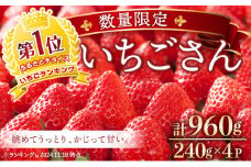 ☆赤い宝石☆佐賀県産いちごさん（240g✕4P）計960g【数量限定】B-1080-AS