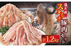 塩ダレ スタミナ 豚肉セット 1200g 国産 豚肉 焼肉 味付 味付豚 簡単調理 焼くだけ BBQ 野菜炒め パスタ 塩やきそば 蒸し焼き サムギョプサル