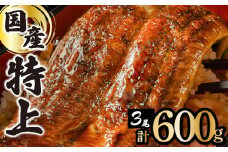 ≪2025年9月配送≫【数量限定】『国産』うなぎ蒲焼 3尾 計600g