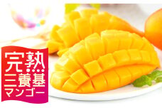 【訳あり】【数量限定】【完熟三養基マンゴー】ハワイピンクマンゴー小玉( 約1kg ) C-644