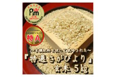CIB59_有機肥料を使って栽培した≪特選さがびより≫みやき町産【玄米5kg】