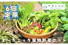 CQ020_【定期便】オーガニック葉物野菜セット【植物性で育てた完全無農薬の葉野菜ブランド有機JAS】 6回定期便