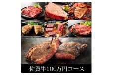 BN047  ふるさと納税　訳あり　定期便　100万コース（佐賀牛サーロインステーキ、味付け厚切り牛タン、味付けホルモン、佐賀牛ハンバーグ等々、贅沢12回定期便）