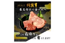 BN048　佐賀牛ヒレステーキ120g（60ｇｘ2）とサーロインステーキ200gｘ2枚のセット