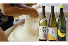 CN029_みやき町の地酒「天吹」　生もと　純米大吟醸　大吟醸　造り型三品