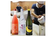 CN034_みやき町の地酒「天吹」大吟醸・粕取り焼酎・リキュール