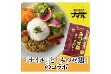 DR002　博多の名店ナイル　みつせ鶏キーマカレー１０パックセット