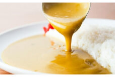 DR005　博多の名店ナイル 生カレー１０パックセット