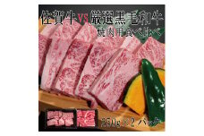 DX033_佐賀牛×厳選黒毛和牛　焼肉用食べ比べ250g×2