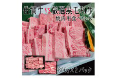 DX034_佐賀牛×厳選黒毛和牛　焼肉用食べ比べ600ｇ×2