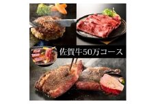 BN050　訳あり　定期便　50万コース（佐賀牛のサーロインステーキ、ヒレステーキ肩ローススライス等々美味しい部位を、贅沢6回定期便）