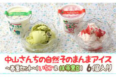 AE032_農家が考えたなめらかアイス６個（いちご＆黒豆抹茶）