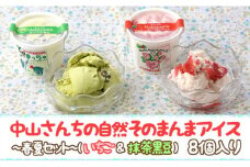 AE033_農家が考えたなめらかアイス８個（いちご＆黒豆抹茶）