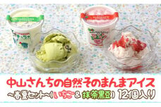 AE034_ 農家が考えたなめらかアイス１２個（いちご＆黒豆抹茶）