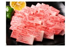 BL009　最高級「佐賀牛」焼肉用　500g【冷蔵でお届け】