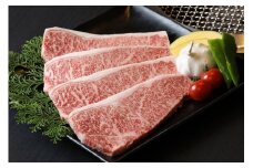 CD007　佐賀牛未経産限定サーロインステーキ1,200g（300g×4枚）