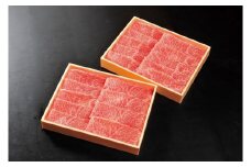 DP046　人気の赤身！佐賀牛すき焼き、しゃぶしゃぶ５００ｇ