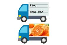 DV127_【佐賀県産】みかん定期便【年6回】