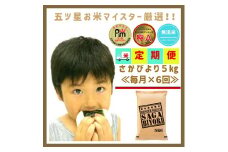 CIC73_【６回定期便】無洗米さがびより５ｋｇ 【五つ星お米マイスター厳選！】