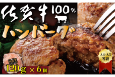 FM019_佐賀牛100%ハンバーグステーキ　120ｇ×6個