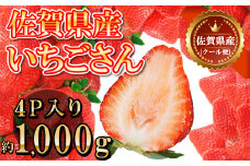 DY039　佐賀県産いちごさん 合計約1㎏ 250ｇ×4Ｐ 苺 いちご イチゴ【令和６年１月下旬から順次発送】