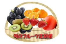 DV128_季節のフルーツ（くだもの）定期便12カ月