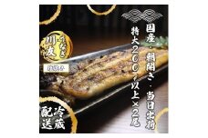 AK002_【冷蔵発送】朝開き国産うなぎ当日発送２尾（1尾あたり約200～230ｇ） 塩焼き 国産鰻 ウナギ